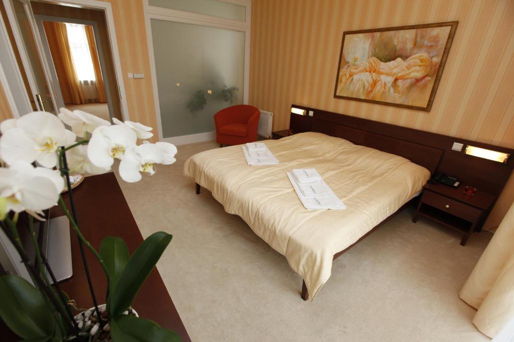 Hotel Sandor Pavillon Piest'any Quarto foto